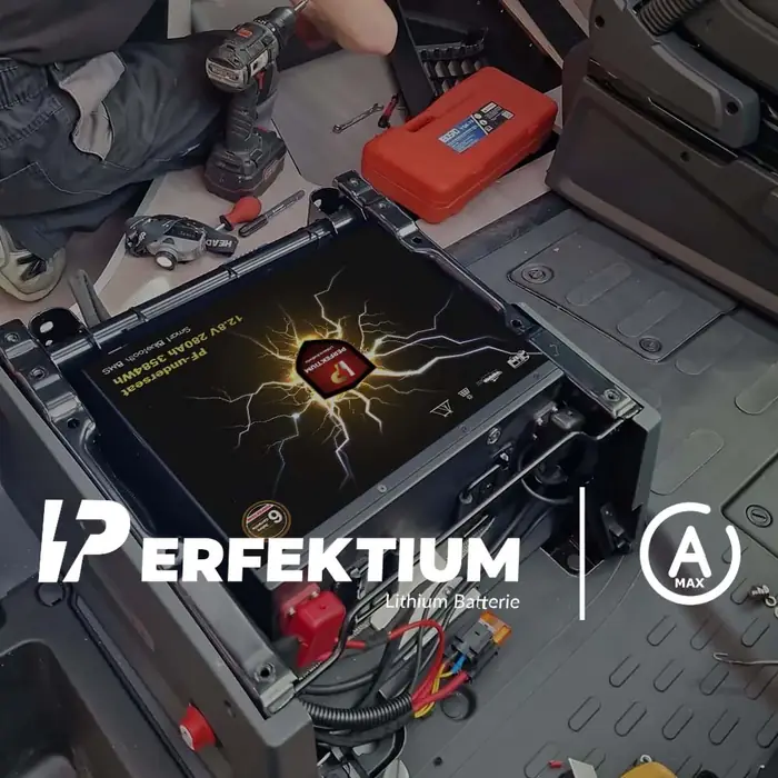 LiFePO4 battery with 300A Smart BMS